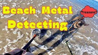 Beach Metal Detecting With The Dogs !