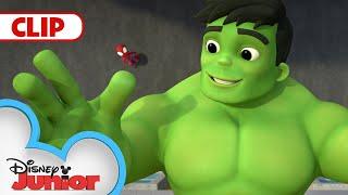 Superhero Switcheroo | Marvel's Spidey and his Amazing Friends | @disneyjunior