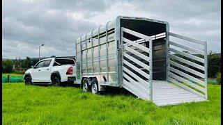 M-Tec Engineering 12x6ft Cattle Trailer