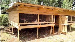 QUICK TOUR OF OUR CHICKEN COUP. SPLENDID ️️️