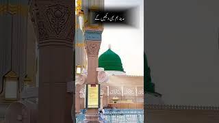 NAAT SHAREEF #status #shahidbutt9k #shorts #naat #naatsharif #top #trending #unfrezzmyaccount #fyp