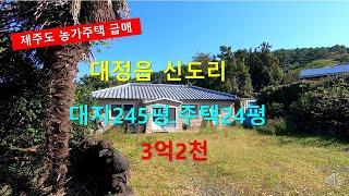 [제주빠빠] 제주도 농가주택 급매｜ 대정읍 신도리 대지245평 주택24평 매매가 3억2천 010 3318 5088