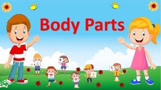 body parts name |human body parts |#bodypartsnames |#etoddlers