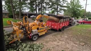 Saving a church roof by removing 4 big limbs