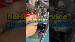 Normal Service - Suzuki V-Strom 250 #premiumsportcycles #asmr #vstrom #youtube #shorts #fyp #reels