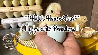 Hatch House Tour