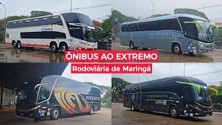 ÔNIBUS AO EXTREMO: G7 DD da Penha, G8 da Garcia - MOVIMENTAÇÃO na RODOVIÁRIA de MARINGÁ