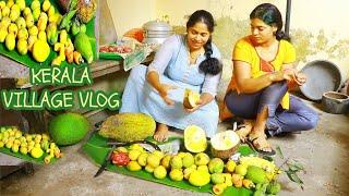 ഞാൻ ജനിച്ചു വളർന്ന വീട്KERALA VILLAGE VLOG || VACATION  KERALA VLOG