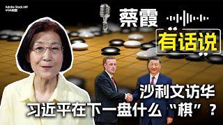 蔡霞有话说：沙利文访华 习近平在下一盘什么“棋”？