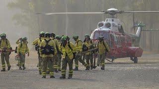 Un incendio en Sierra Bermeja, en Málaga, arrasa 2.000 hectáreas y obliga a evacuar a 3.000 personas