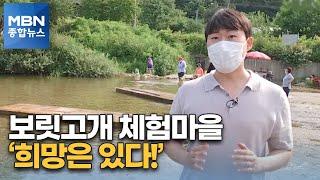 농어촌체험마을도 '보릿고개'…그래도 희망은 있다! [MBN 종합뉴스]