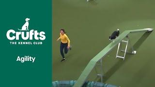 Agility Championship Intermediate/Large Final | ​Crufts 2022