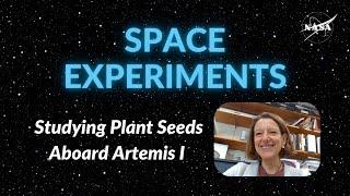 Onboard Artemis I: Studying Plant Seeds in Space