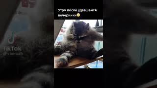 Господи пожалуйста спаси и сохрани