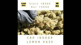 CBD Blüten ABVERKAUF - Lemon Haze