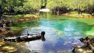 Perils to Paradise - 118 Miles on the Choctawhatchee River