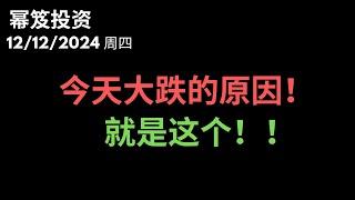 第1350期「幂笈投资」12/12/2024 全是利好，竟然还是大跌，为什么？｜ 2025年还能涨一年吗？｜ 2025年该布局哪些股？｜ moomoo