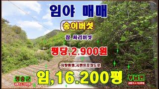 물번,780번) 임야,16.200평 평당,2.900원 차량통행수월,송이버섯,싸리버섯채취.특히 밑 부분에 준보전산지1.340평 (개발) 성장관리계획구역,임업촉진권역,4.700만원매매