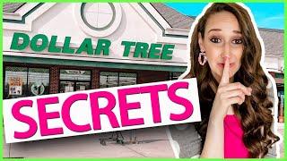 My DOLLAR TREE Secrets!  that no one knows!