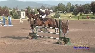 110S Jeanine Allred on Early Flight Intermediate Show Jumping Rebecca Farm July 2024