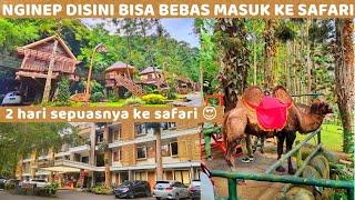 Hotel Taman Safari Bogor • menginap disini bisa 2 hari bebas ke taman safari lhoo..