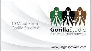 10 Minute Intro to Gorilla Studio