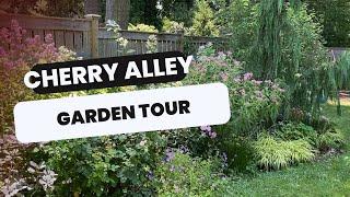  Backyard Garden Design - Cherry Alley Garden Update 