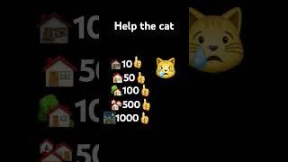 Help the cat