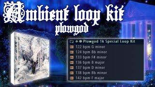 *FREE* PLOWGOD LOOP KIT (AMBIENT, AMBIENT PLUGG) | 1K SPECIAL (@plowgod )