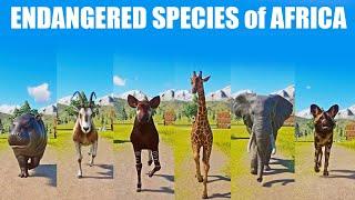 Endangered Species of Africa Speed Race in Planet Zoo included Okapi, Elephant, Giraffe, Dog, Hippo