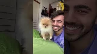 así reaccionó mi perro 