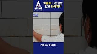 기름이 사방팔방 언제 다지워??!