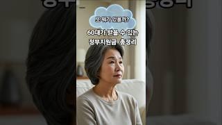 60대 이상이라면 꼭 알아야 할 정부 지원 제도! #기초연금 #정부지원금 #60대복지 #노인복지