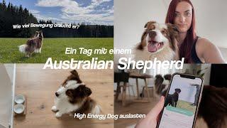 Mein ALLTAG mit einem AUSTRALIAN SHEPHERD - Aktiven Hund auslasten