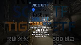 국내 상장 미국S&P500 24년 12월 비교