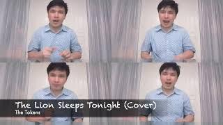 The Lion Sleeps Tonight (The Tokens) Cover