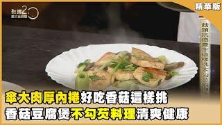 傘大肉厚內捲 好吃香菇這樣挑  香菇豆腐煲 不勾芡料理清爽健康【聚焦2.0】第569集