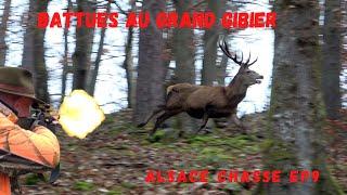 ALSACE CHASSE EP9. Battues au grand gibier dans les Vosges-Druckjagd auf Rotwild-Red Deer Hunting