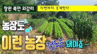 물건번호24-035/창원 북면 외감리 그린벨트 해제 기대지역 텃밭 주말농장