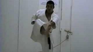 Bassaidai learning kata karate Martin Silva 2008