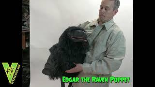 Edgar the Raven Puppet with Fixed Wing