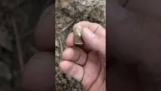 Dropped Bullet From a Civil War Camp! #metaldetecting #relic #ramdetecting #civilwar #relichunting