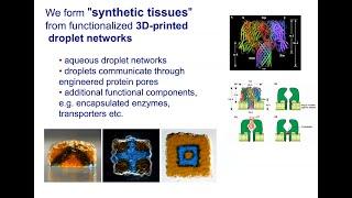 Build-a-Cell seminar Hagan Bayley: Designer tissues: synthetic, living and hybrid materials