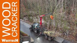 kardanische Greifersäge Woodcracker® CS510 crane für Sicherheitsbaumfällungen