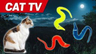 CAT Gmaesㅣvideos for cats to watch3Hourscat toy