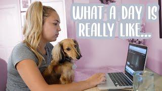 DAY IN THE LIFE WITH A MINIATURE DACHSHUND