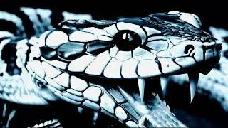 Aleister Black WWE Return Vignette #3 Live from WWE SmackDown March 28th, 2025