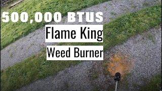 Flame King Propane Weed Burner Review