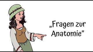 Fragen zur Anatomie