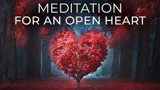 Meditation for an Open Heart | Sarah Blondin